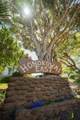 3660 Lower Honoapiilani Rd - Photo 2