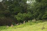 8515 Kula Hwy - Photo 42