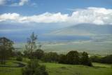 8515 Kula Hwy - Photo 43
