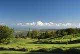 8515 Kula Hwy - Photo 44