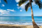 777 South Kihei Rd - Photo 17