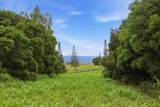 205 Keoawa St - Photo 16