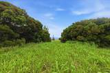 205 Keoawa St - Photo 40