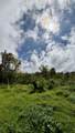 16255 Haleakala Hwy - Photo 4