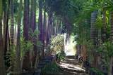 150 Kai Hele Ku Rd - Photo 14