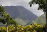 150 Kai Hele Ku Rd - Photo 6