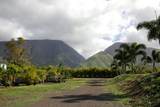 150 Kai Hele Ku Rd - Photo 7