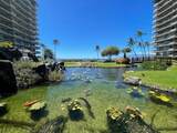 2481 Kaanapali Pkwy - Photo 43
