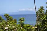 2994 Kihei Rd - Photo 11