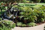 2481 Kaanapali Pkwy - Photo 39