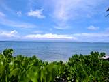 4365 Lower Honoapiilani Rd - Photo 13