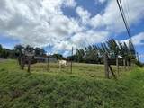 1630 Kauhikoa Rd - Photo 4