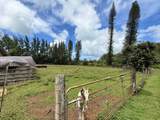 1630 Kauhikoa Rd - Photo 7