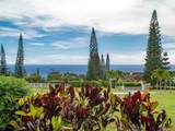 18 Lahaole Pl - Photo 21