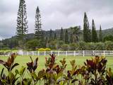 18 Lahaole Pl - Photo 48