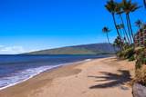 145 Kihei Rd - Photo 46