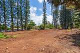 2175 Kauhikoa Rd - Photo 2