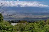 20 Kuulani Pl - Photo 34