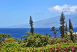 50 Puu Anoano St - Photo 1