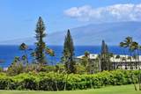 50 Puu Anoano St - Photo 6