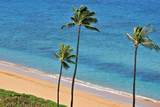 2481 Kaanapali Pkwy - Photo 6
