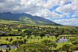 2481 Kaanapali Pkwy - Photo 8