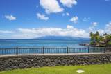 4909 Lower Honoapiilani Rd - Photo 10