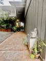 2824 Ohina St - Photo 13