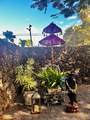 2824 Ohina St - Photo 20