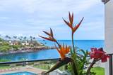 5295 Lower Honoapiilani Rd - Photo 26