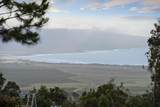 2450 Piiholo Rd - Photo 3
