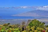 16 Kekaulike Ave - Photo 4