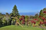 16 Kekaulike Ave - Photo 43