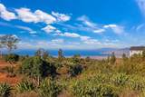 0 Haleakala Hwy - Photo 6