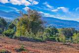 0 Haleakala Hwy - Photo 8