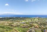 411 Wekiu Pl - Photo 16