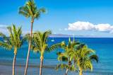 191 Kihei Rd - Photo 6