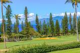50 Puu Anoano St - Photo 8