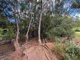 2108 Akeu Way - Photo 7