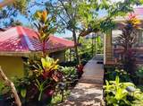 7953 Hana Hwy - Photo 21