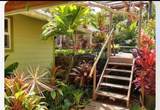 7953 Hana Hwy - Photo 22