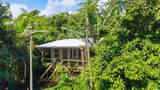 7953 Hana Hwy - Photo 27