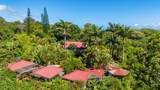 7953 Hana Hwy - Photo 32