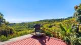 7953 Hana Hwy - Photo 34