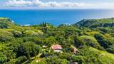 7953 Hana Hwy - Photo 35