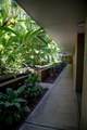 35 Walaka St - Photo 26
