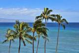 4365 Lower Honoapiilani Rd - Photo 26