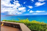 4000 Wailea Alanui Dr - Photo 22