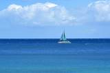 3823 Lower Honoapiilani Rd - Photo 40