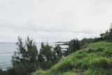 6501 Honoapiilani Hwy - Photo 11